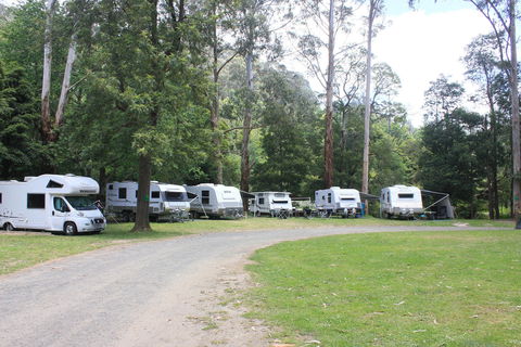 Tarra Valley Caravan Park - Accommodation QLD 2