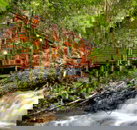 The Mouses House - Rainforest Retreat - Accommodation QLD