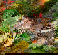 Thorngrove Manor Hotel - Accommodation QLD