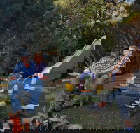 Zeehan Bush Camp - Accommodation QLD