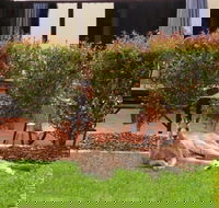 Alpha Canberra Hotel - Accommodation QLD