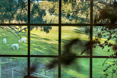 Australia Suite - Accommodation QLD 1