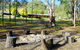 Barrington River Lodge - thumb 0
