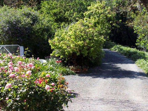 Brown's House Bed & Breakfast - Accommodation QLD 2