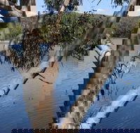 Bumberry Dam - Accommodation QLD