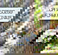 Byron Beachcomber Resort - Accommodation QLD