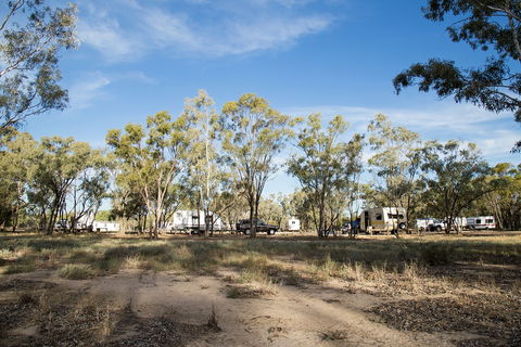 Collarenebri Primitive Campground - Accommodation QLD 2