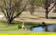Sapphire City Caravan Park - thumb 2