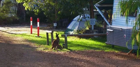 Aroundtu-It Eco Caravan Park - Accommodation QLD 5