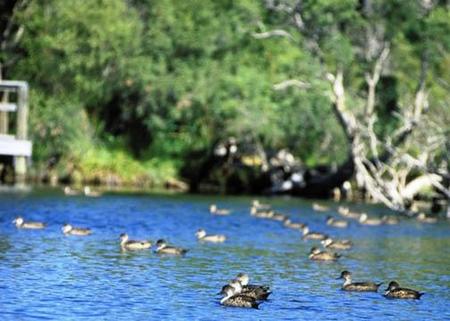 Comfort Inn Yanchep - Accommodation QLD 4
