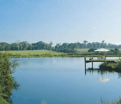 Forest Rise Eco Retreat - Accommodation QLD