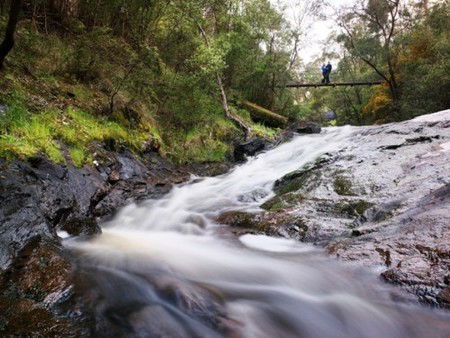 Karri Valley Resort - Accommodation QLD 2