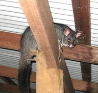 Warren River Resort - Accommodation QLD