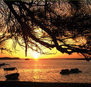 Pelican's Nest - Accommodation QLD