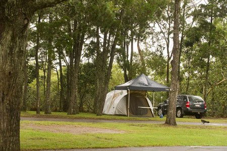 Terrace Reserve Holiday Park - Accommodation QLD 3