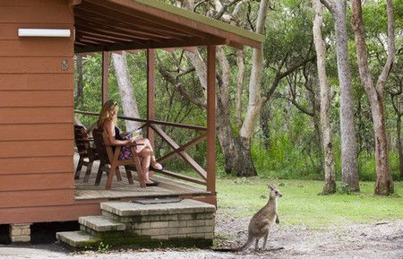 Hungry Head Cabins - Accommodation QLD 1