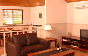 Bushy Lake Chalets - Accommodation QLD 2