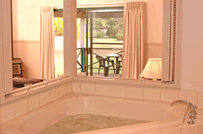 Bushy Lake Chalets - Accommodation QLD 3