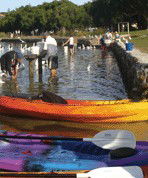 Turner Caravan Park - Accommodation QLD 1
