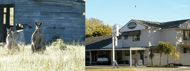 Acacia Motor Inn - Accommodation QLD 5