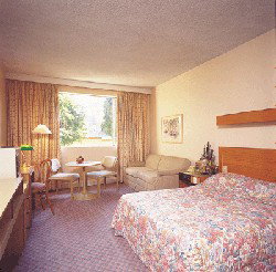 Country Comfort Armidale - Accommodation QLD 3