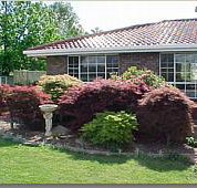Creature Comforts - Accommodation QLD