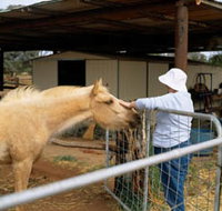 Nallan Station - Accommodation QLD