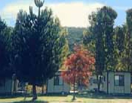 Anglers Reach Caravan Park - Accommodation QLD 0