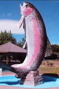 Anglers Reach Caravan Park - Accommodation QLD 3