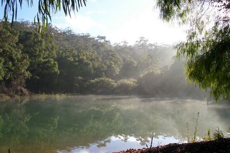 Karri Valley Chalets - Accommodation QLD 2