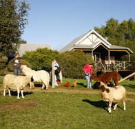 Sunnyhurst Chalets - Accommodation QLD