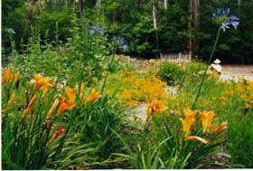 Warren River Cottages - Accommodation QLD 1