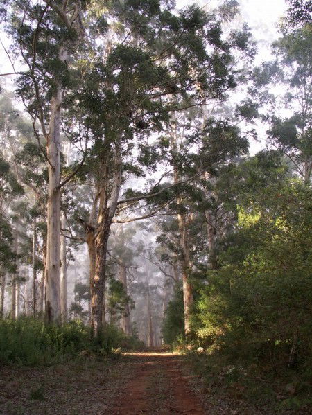 Warren River Cottages - Accommodation QLD 2