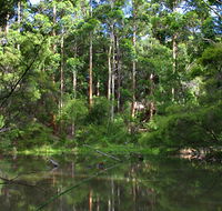 Peppermint Grove Retreat - Accommodation QLD