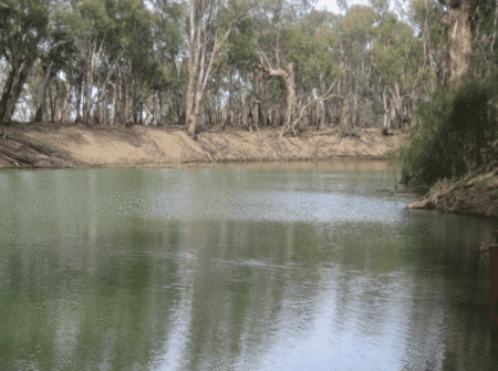 Balranald Club Motel - Accommodation QLD 1