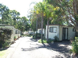 Shady Willows Caravan Park - Accommodation QLD 1