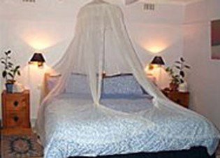 Bondi Beach Garden Sweet - Accommodation QLD 0