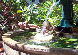 Bondi Beach Garden Sweet - Accommodation QLD 3