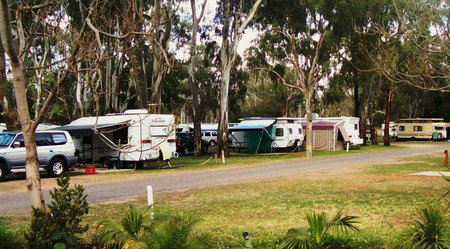 Buronga Riverside Tourist Park - Accommodation QLD 0