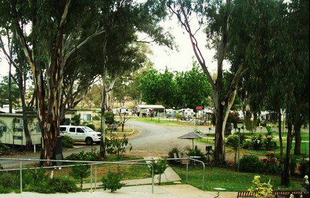 Buronga Riverside Tourist Park - Accommodation QLD 4