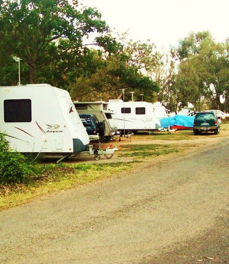 Buronga Riverside Tourist Park - Accommodation QLD 5