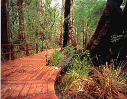 Coalmine Beach Holiday Park - Accommodation QLD 3