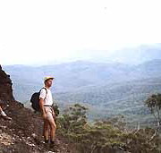 Mimosa Hill Wildflower Farm Cottages - Accommodation QLD