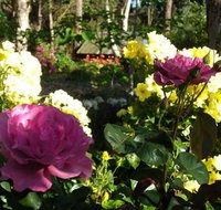 Ford House Retreat - Accommodation QLD
