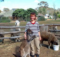 Kemminup Farm - Accommodation QLD