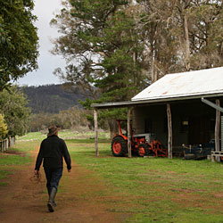 Bolganup Homestead - Accommodation QLD 2