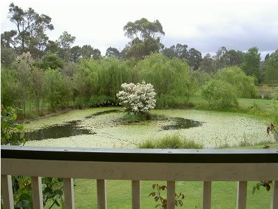 Moss Brook Bed And Breakfast - Accommodation QLD 1
