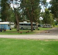 Harvey Rainbow Caravan Park - Accommodation QLD