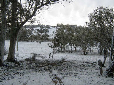 The Range - Accommodation QLD 4