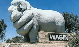 Wagin Motel - Accommodation QLD